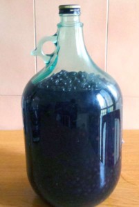 Mirto in macerazione Mirto_Artigianale