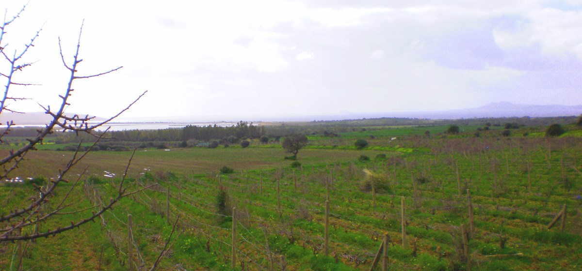 Vista sul Golfo di Palmas