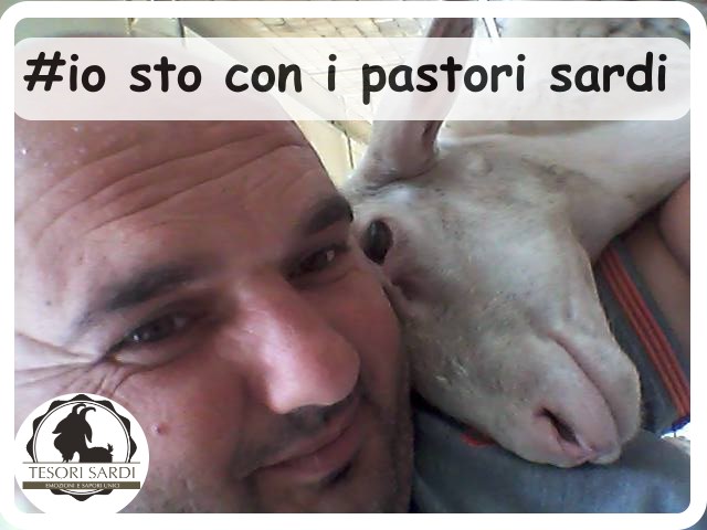 PER AIUTARE I PASTORI SARDI – POCHE CHIACCHIERE