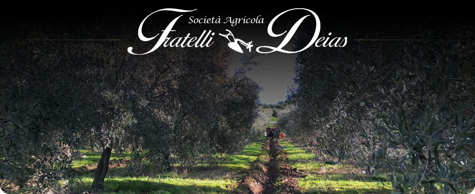 prodotti tipici sardi